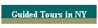 Guided Tours in NY